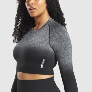 Adapt Ombre Seamless Long Sleeve Crop Top